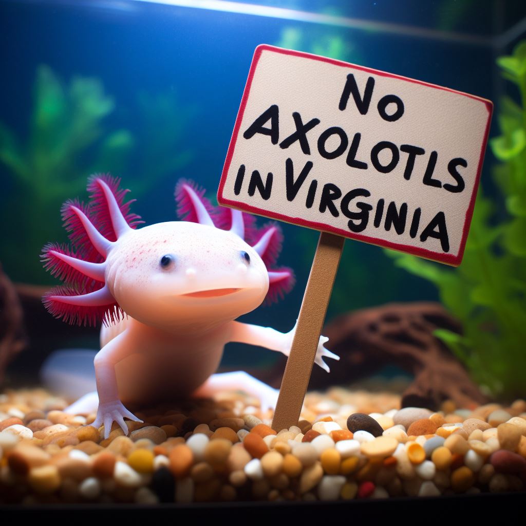 axolotl legality in west virginia